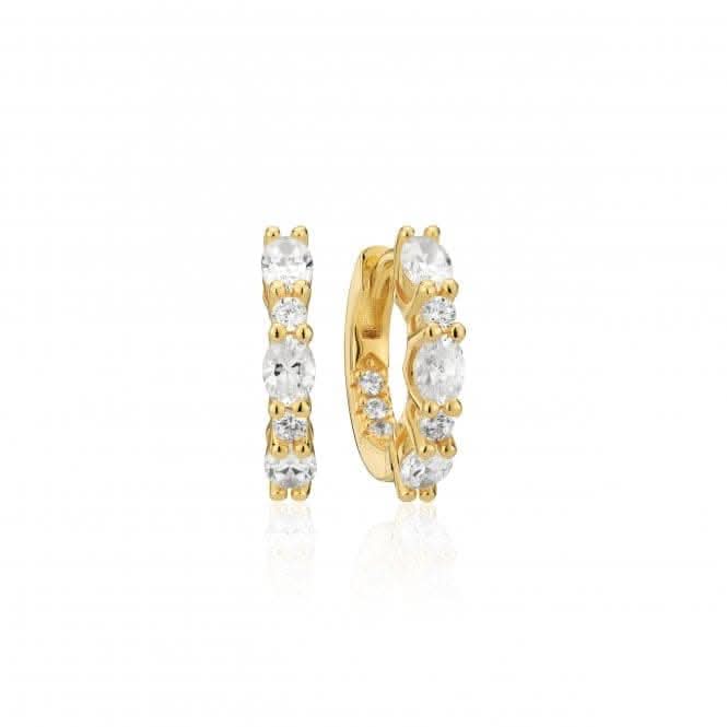 18k Gold Plated Ellera Ovale Medio Earrings SJ-E2412-CZ-YG