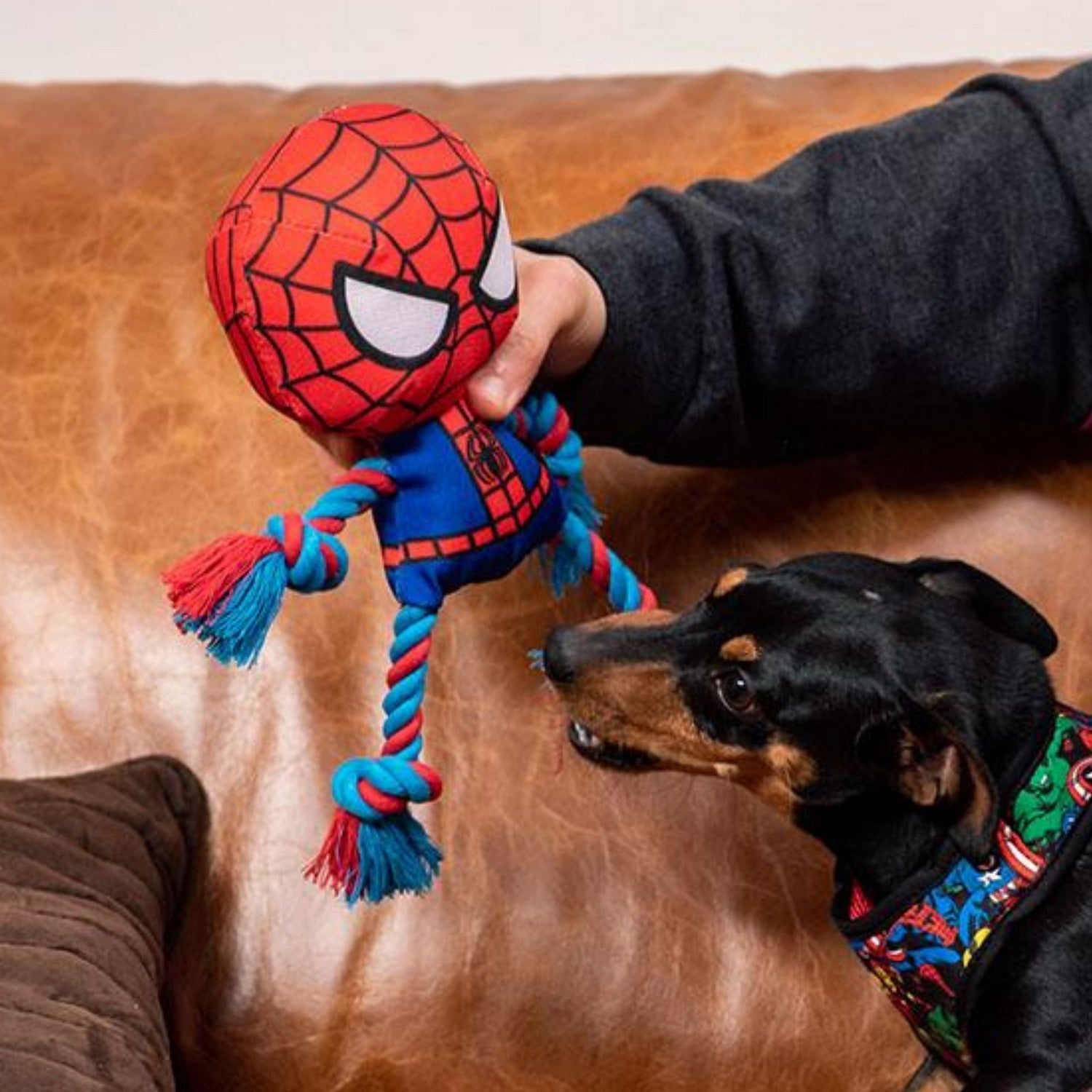 Marvel Dog Toys Rope Spiderman Pink 2800000491