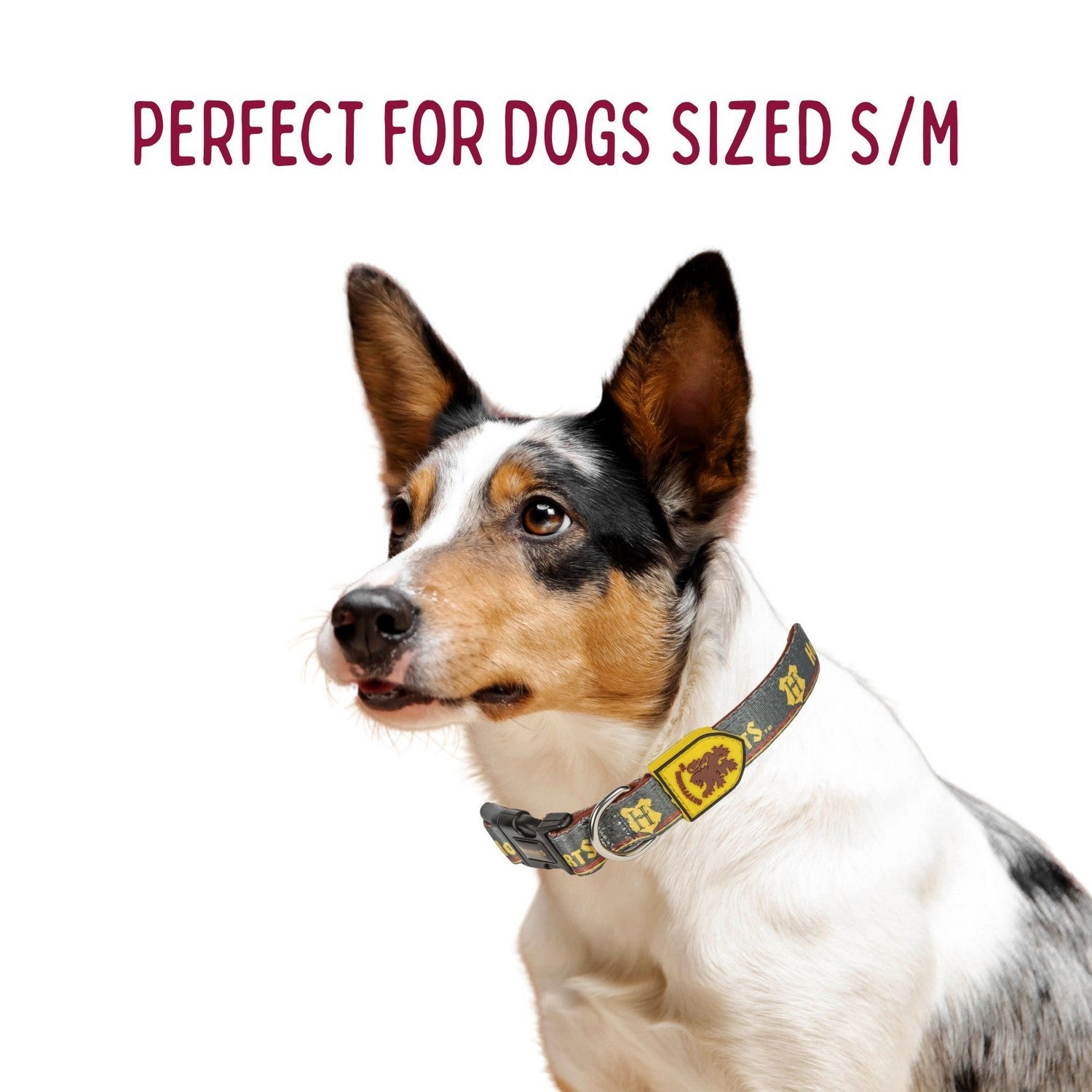 Harry Potter Dogs Collar S/M Gryffindor Orange 2800001127