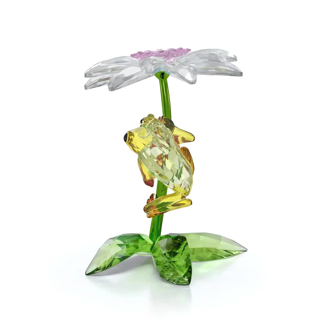 Idyllia Frogs and Flower 5670892