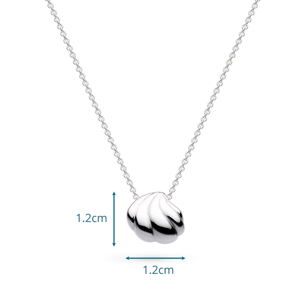 Silver necklace with a shell pendant on a white background