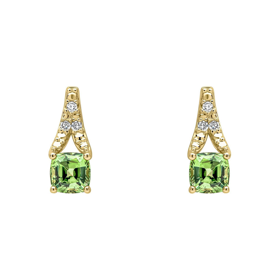 9ct Gold Sapphire Earrings GE2491G