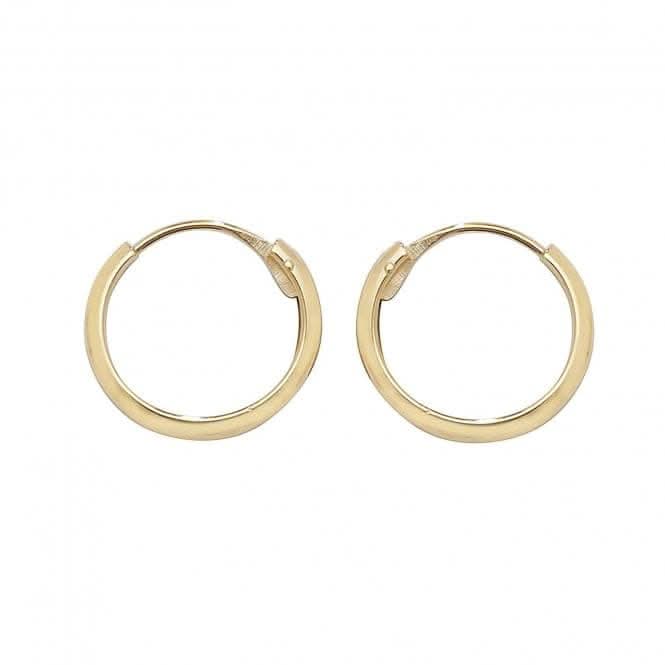 9ct Yellow Gold 10mm Sleeper Earrings ES151