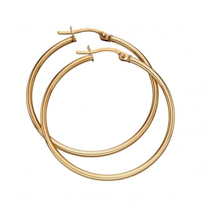 9CT Yellow Gold 30mm Hinged Hoop Earrings GE2219