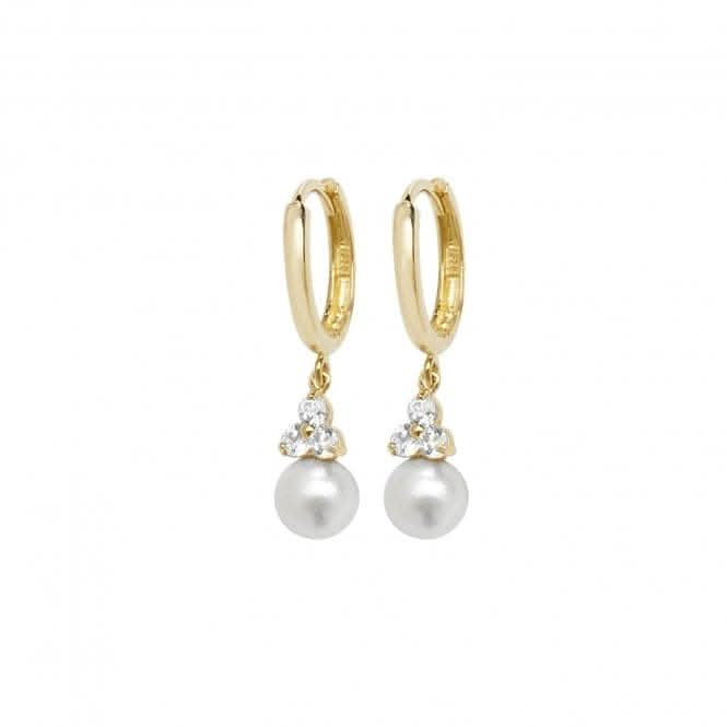 9ct Yellow Gold Freshwater Pearl Drop Earrings ER1133