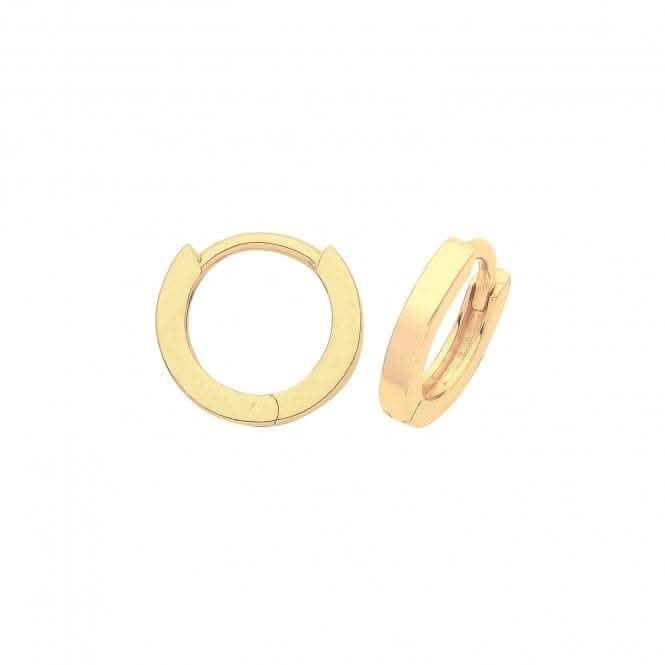 9CT Yellow Gold Hinged Earrings ER020