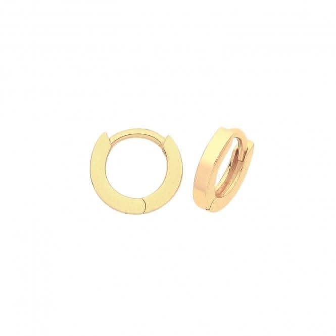9CT Yellow Gold Hinged Earrings ER020
