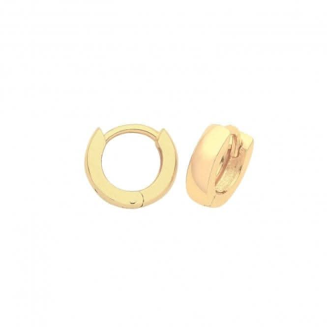 9ct Yellow Gold Hinged Earrings ER021-07