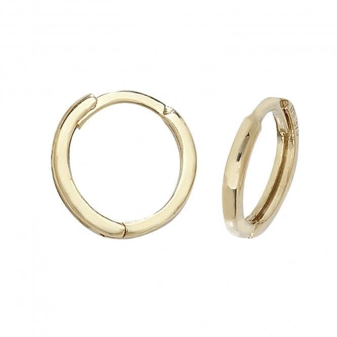 9ct Yellow Gold Hinged Earrings ES160