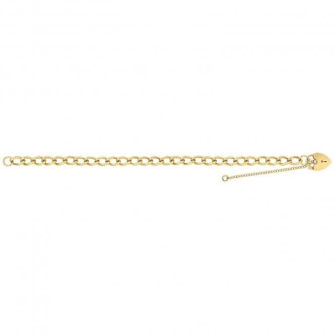9ct Yellow Gold Ladies Charm Bracelet BR106