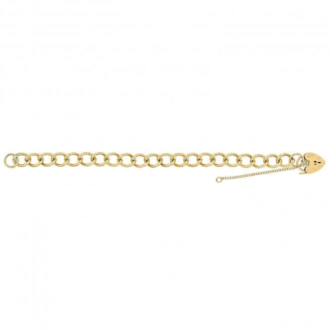 9ct Yellow Gold Ladies Charm Bracelet BR108