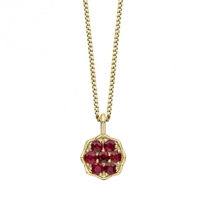 9ct Yellow Gold Ruby Pendant GP2351RElements GoldGP2351R