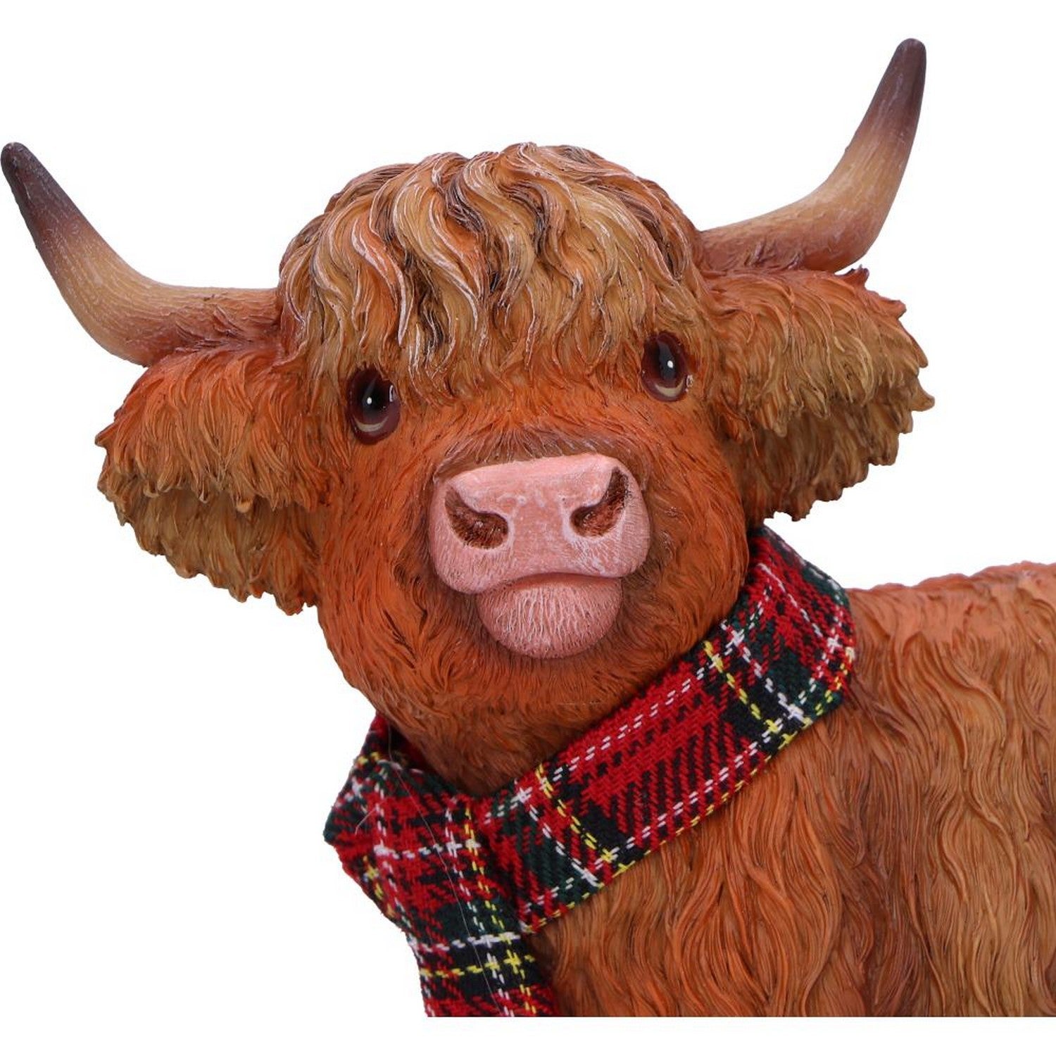 Highland Snug 11.5cm B7254C25