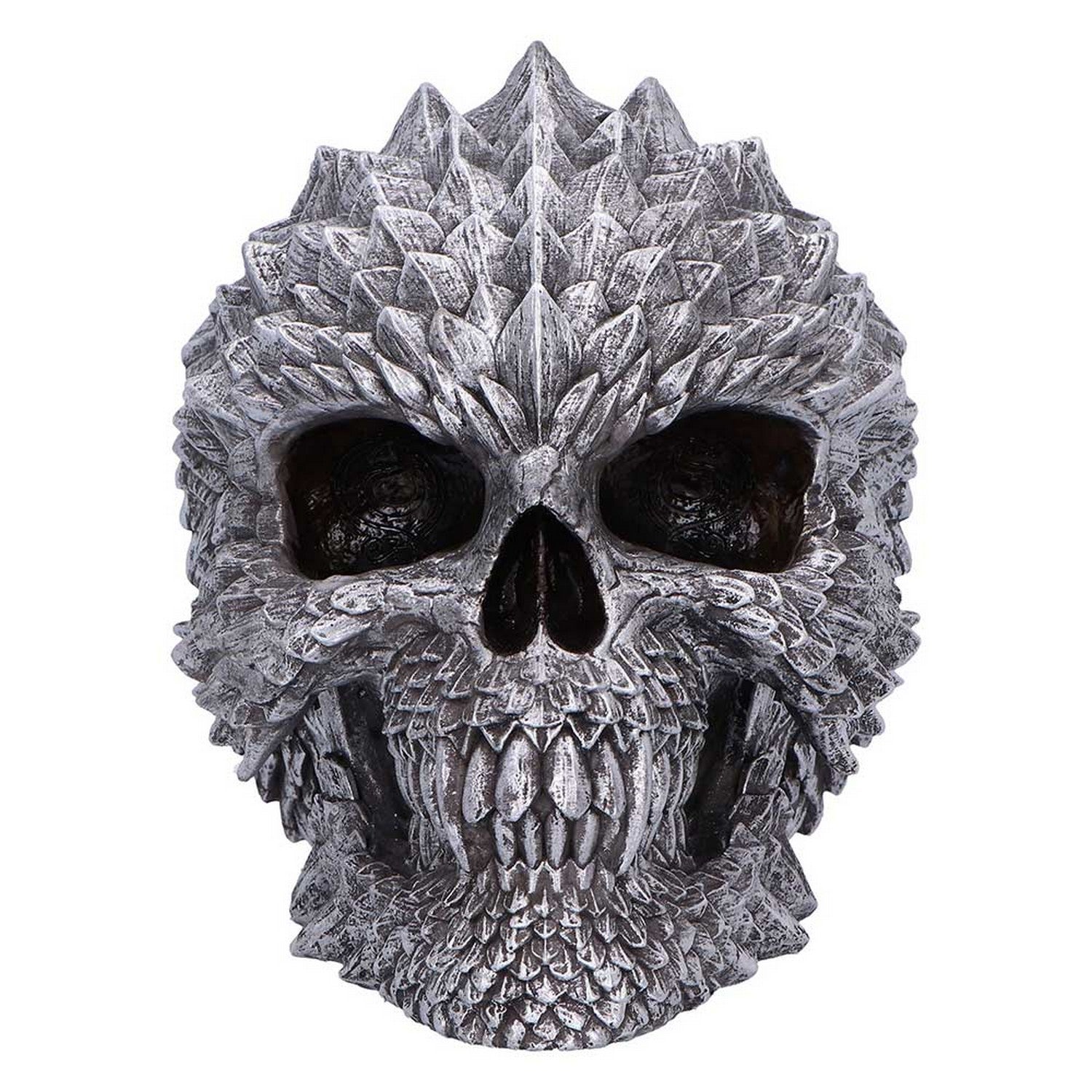 Scaled Remains Skull Figurine 15.4cm B7369A26
