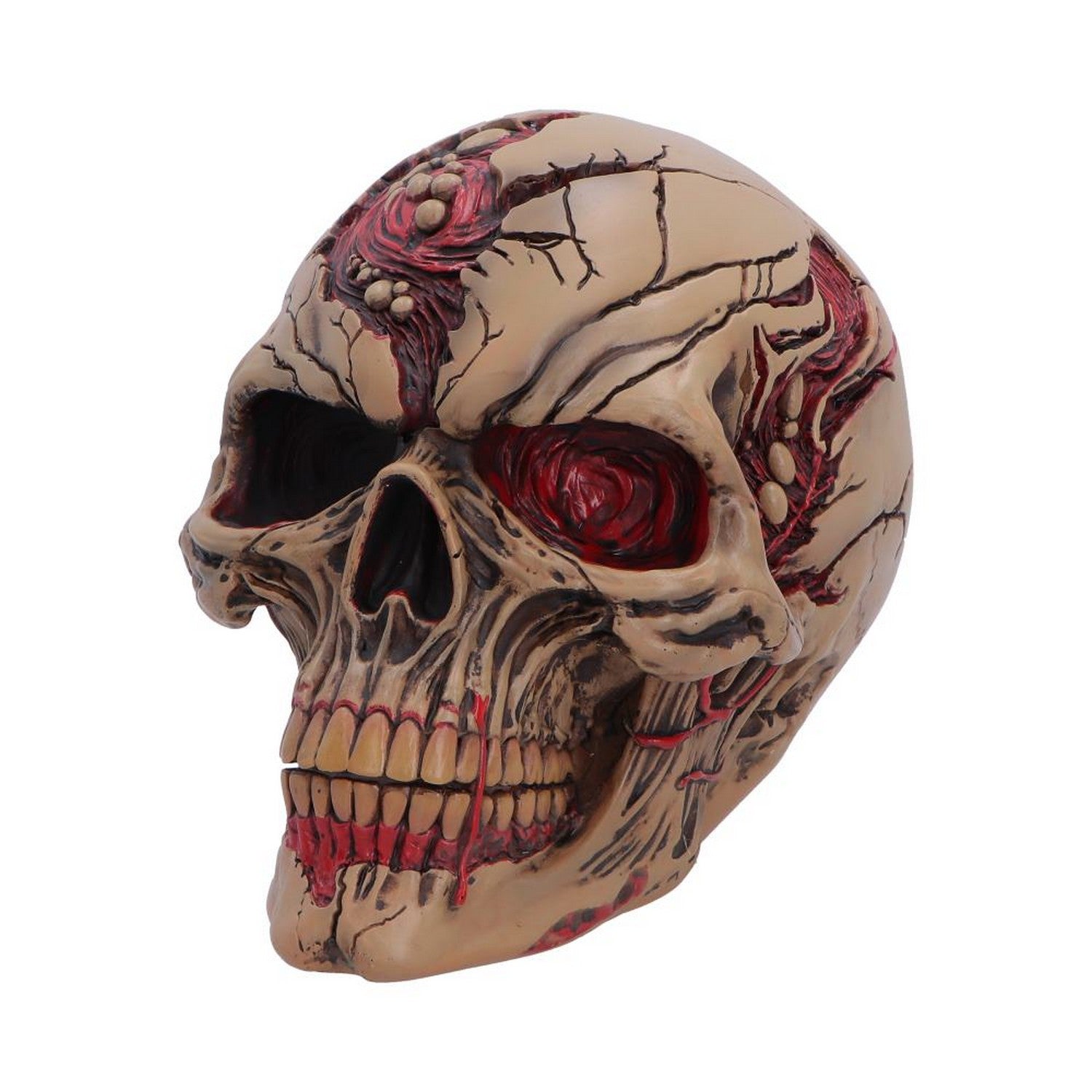 The Walker of Death Zombie Skull 15.5cm B7711B26
