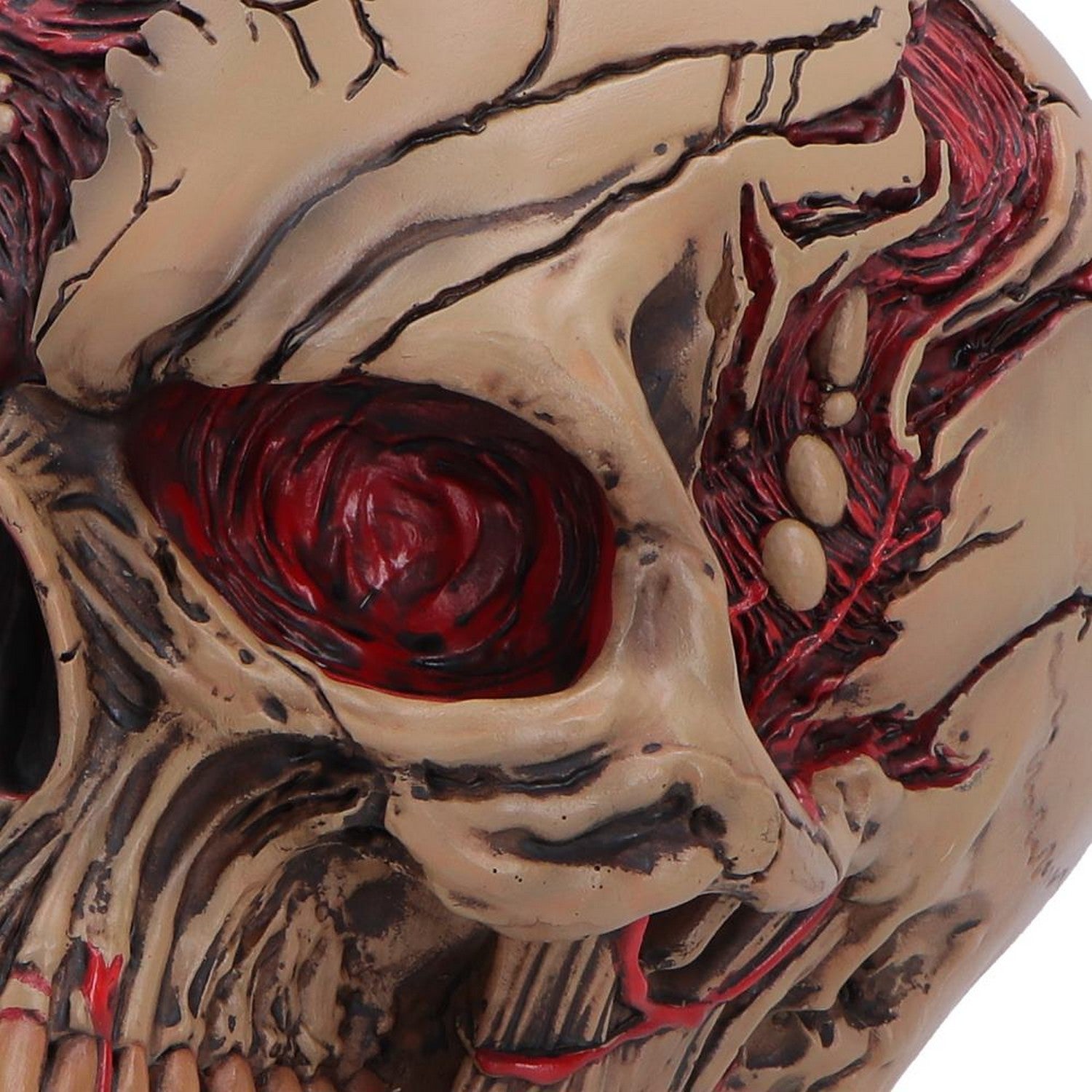 The Walker of Death Zombie Skull 15.5cm B7711B26