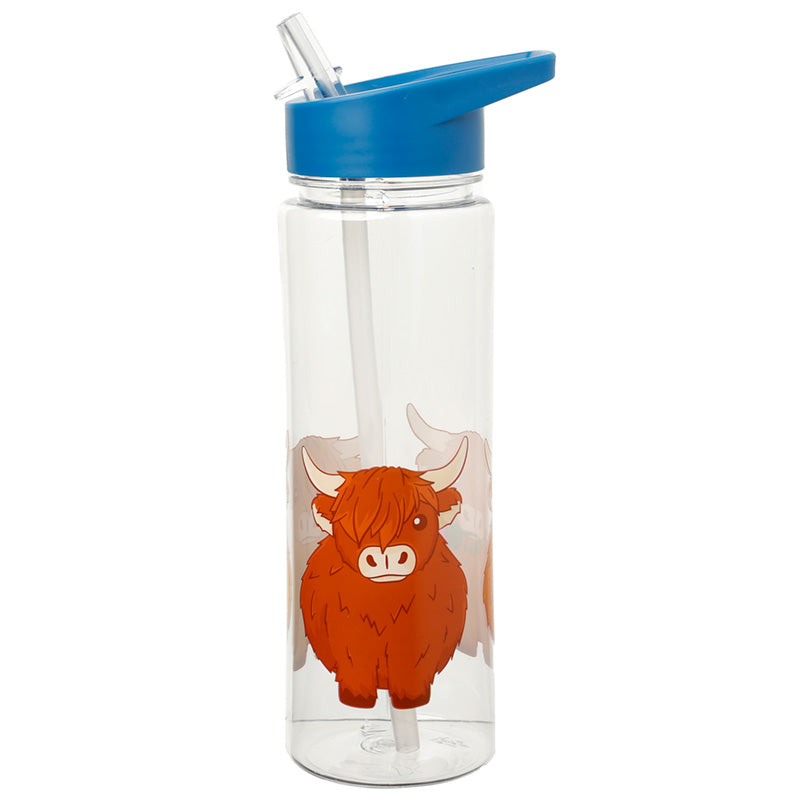 550ml Water Bottle Highland Coo Cow BOT95
