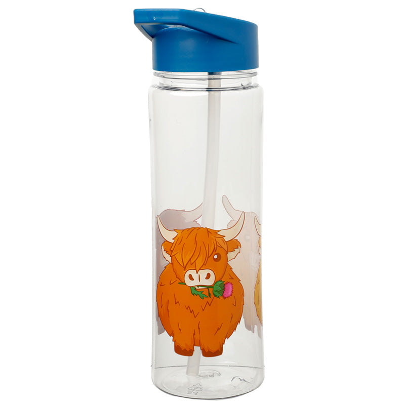 550ml Water Bottle Highland Coo Cow BOT95