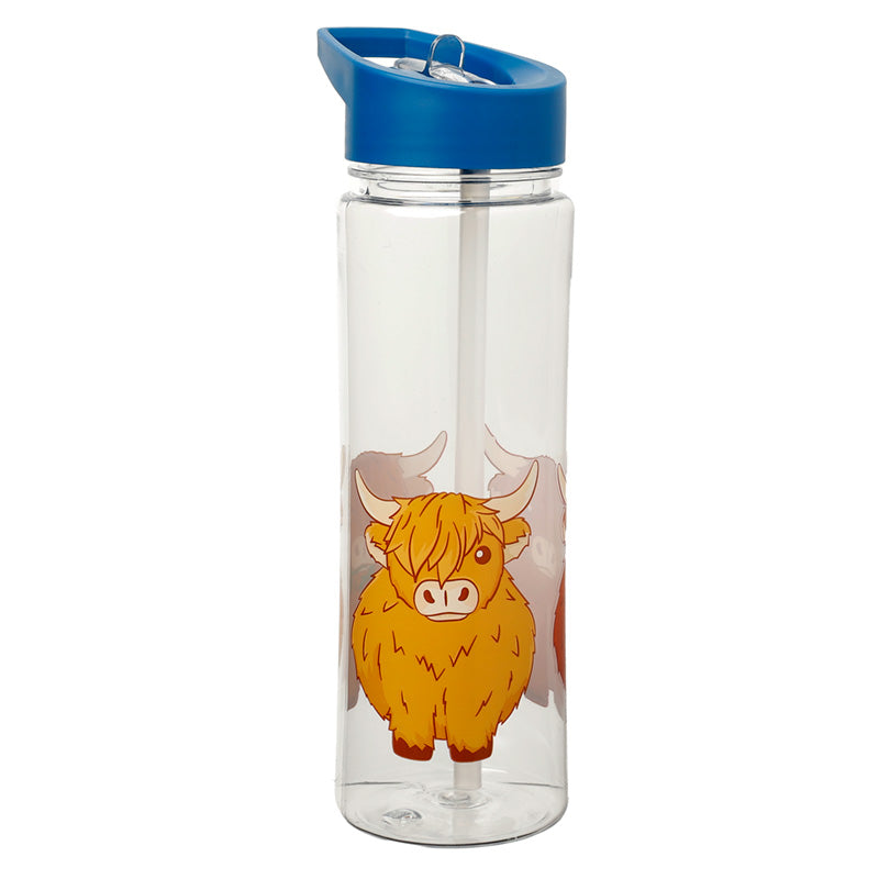550ml Water Bottle Highland Coo Cow BOT95