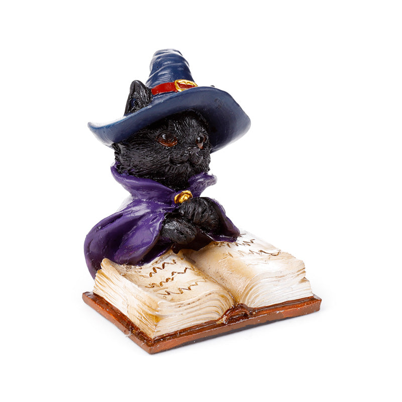 Witches Magical Black Cat Reading from Spell Book CAT205