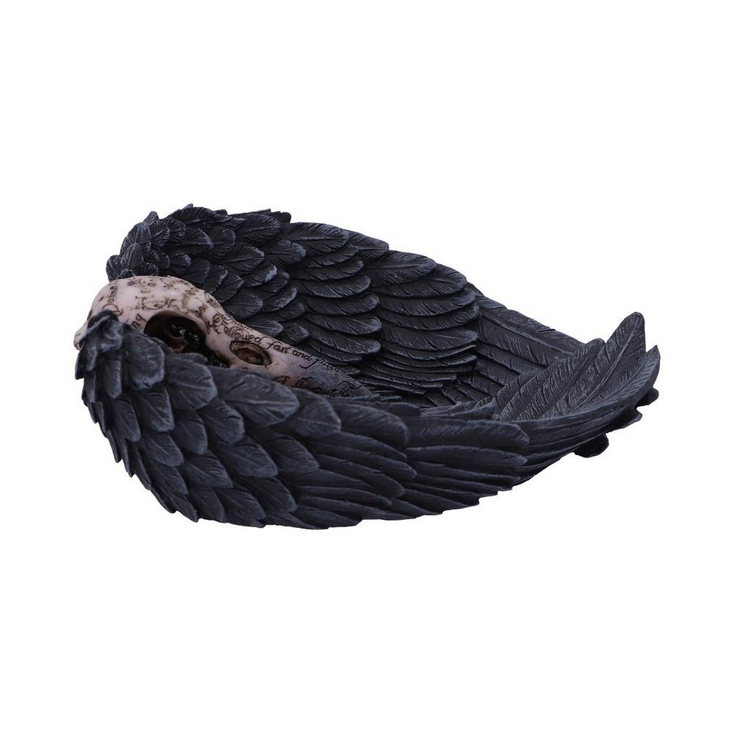 Edgar Allen Poe's Nevermore Raven Skull Trinket Holder Jewellery Dish D4917R0