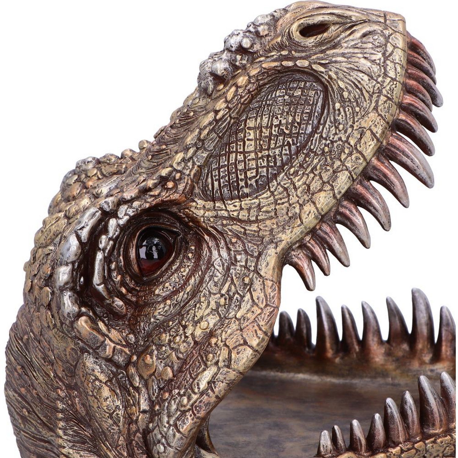 Metallic Tyrannosaurus Rex Head Trinket Dish D6867C24