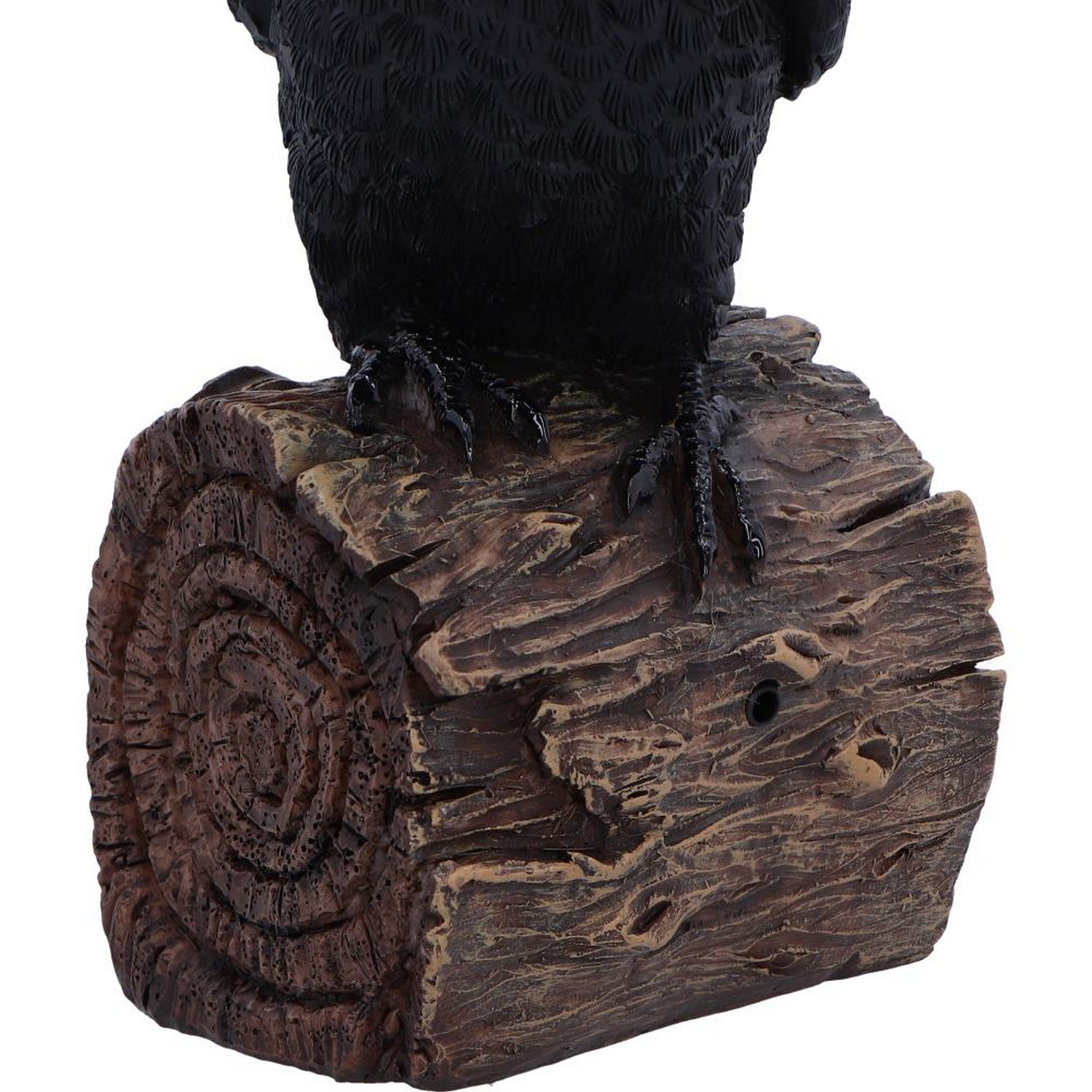 Ravens Cry With Motion Activated Sound D7085B25