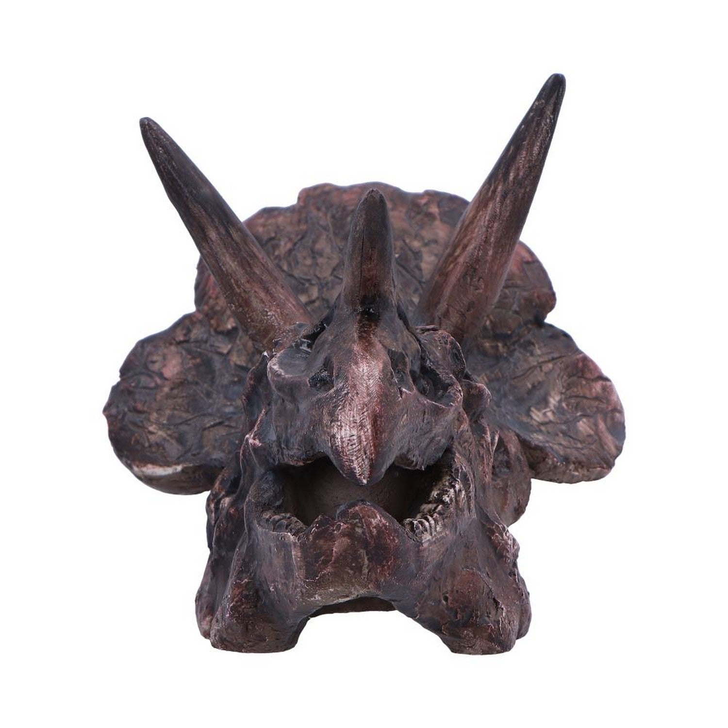 Triceratops Skull Resin Replica D7105B25