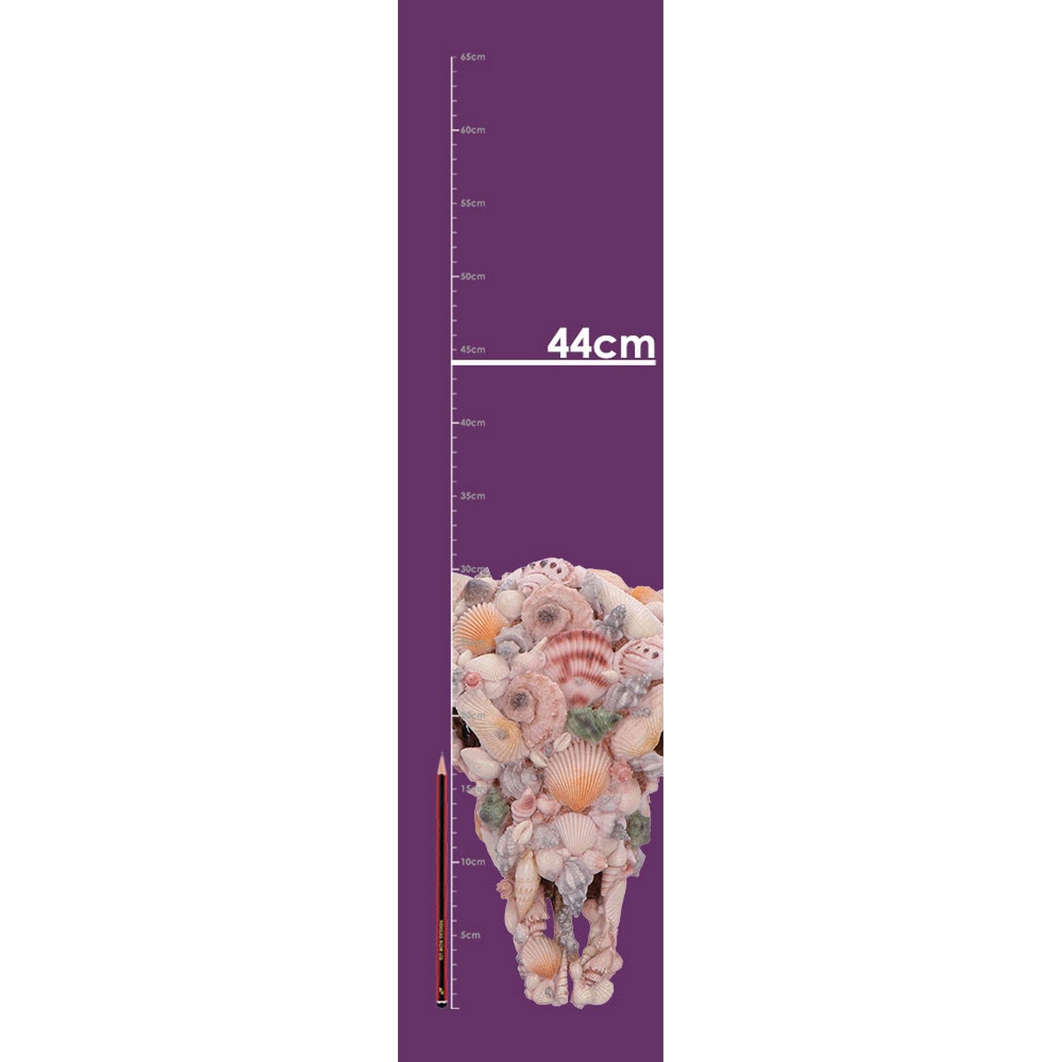 Ocean Crown Skull Ornament 44cm D7576B26