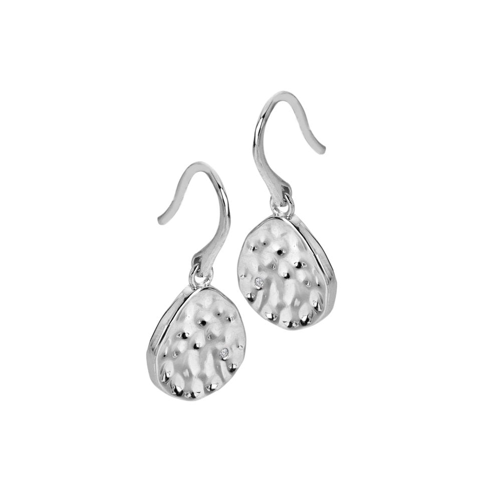 Pair of silver earrings