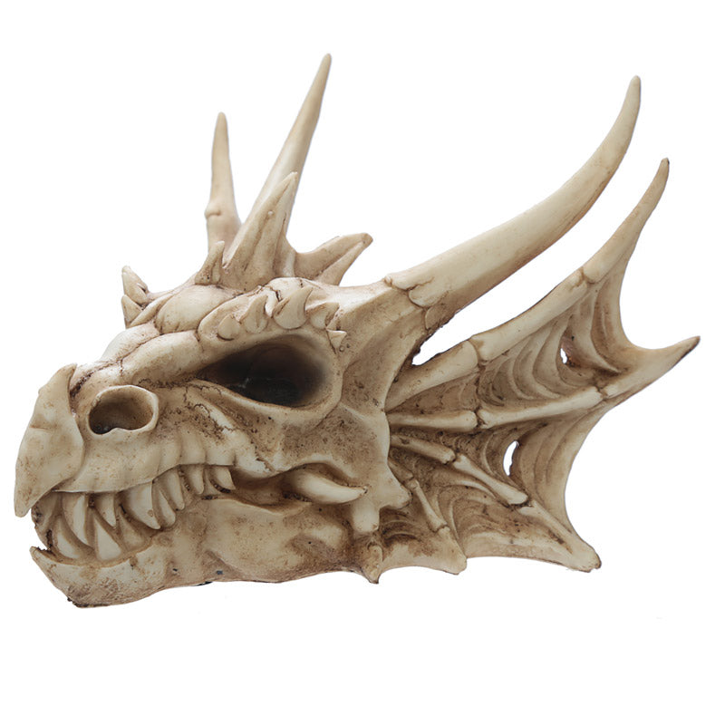 Dragon Skull Decoration DRG431