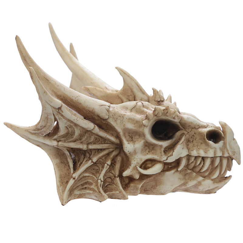 Dragon Skull Decoration DRG431