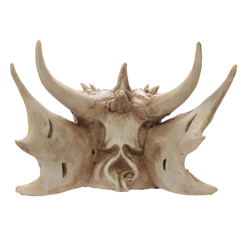Dragon Skull Decoration DRG431