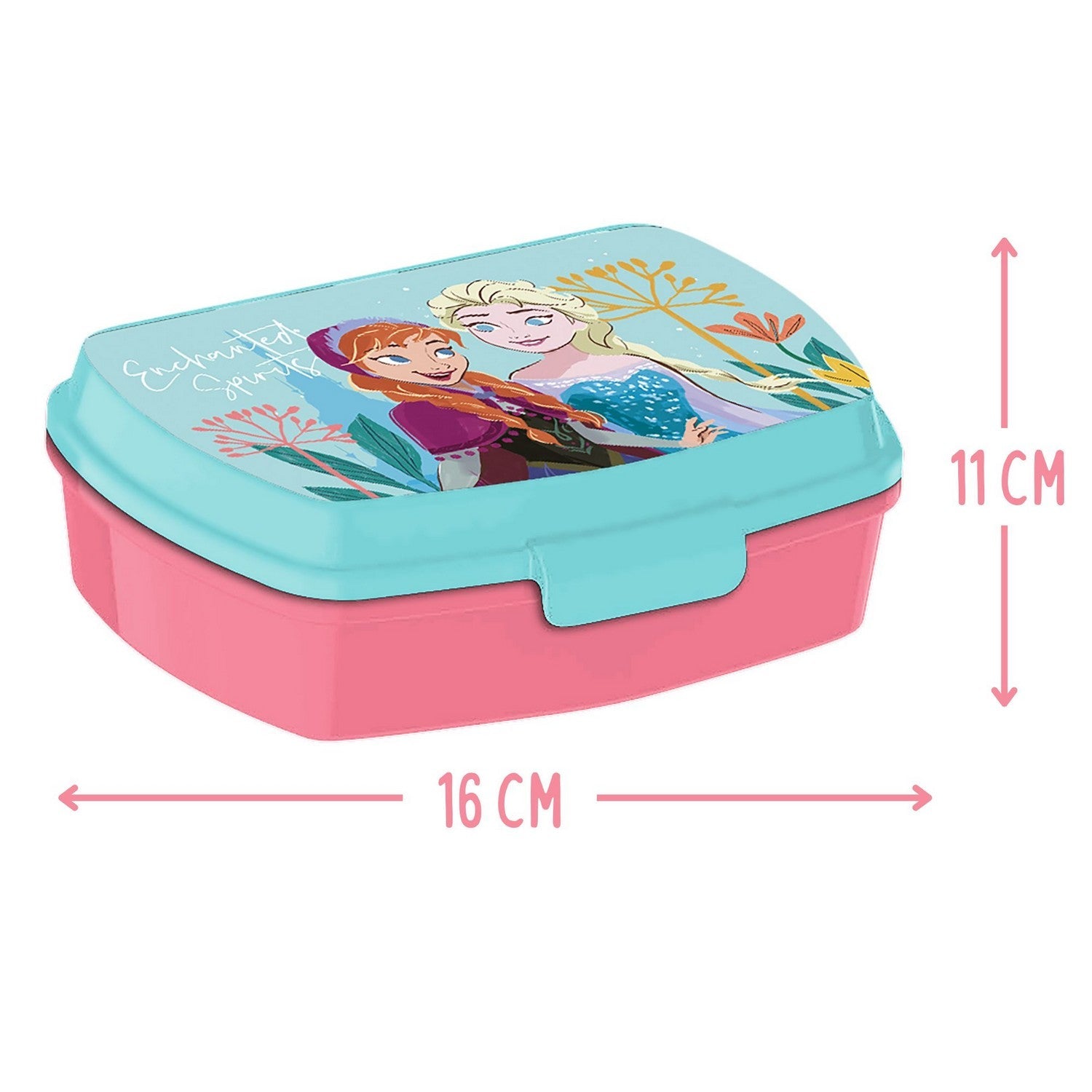 Disney 2 Piece Lunch Box + Aluminium Canteen 500Ml Frozen FR50009
