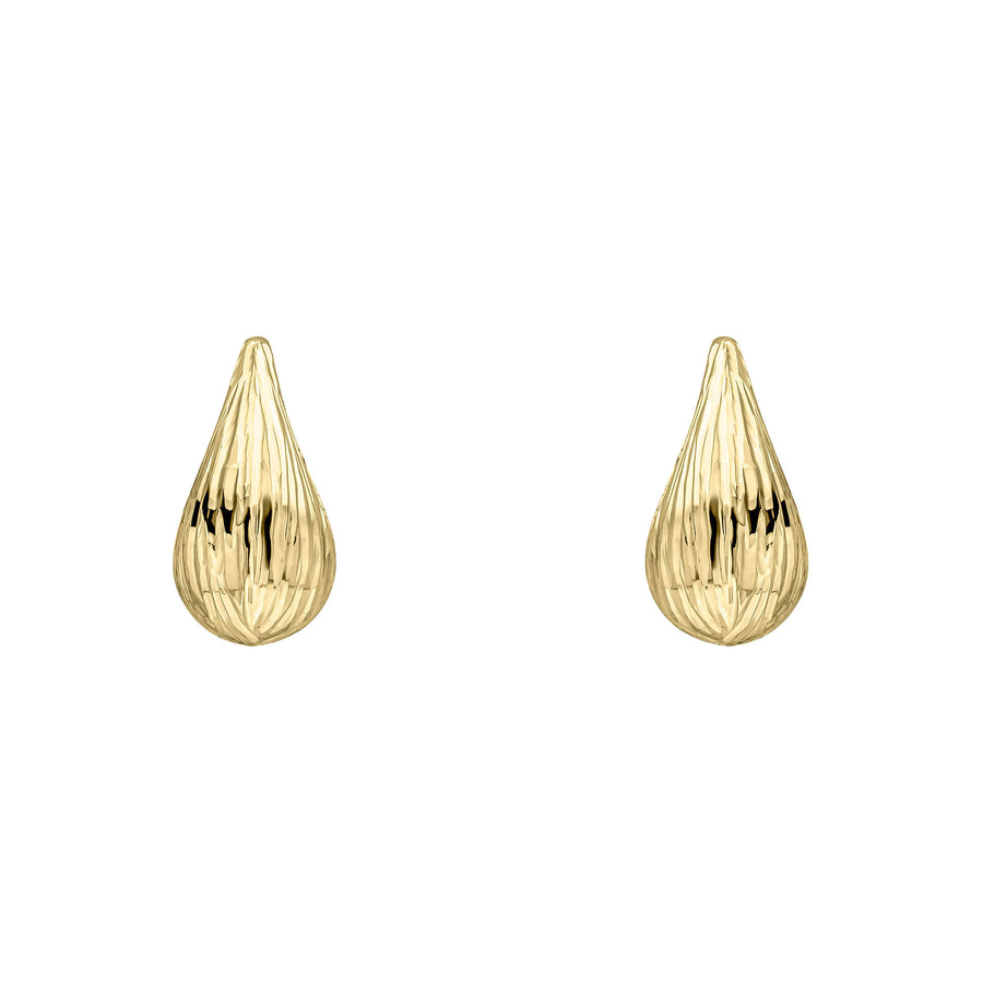 9ct Yellow Gold Earrings GE2500