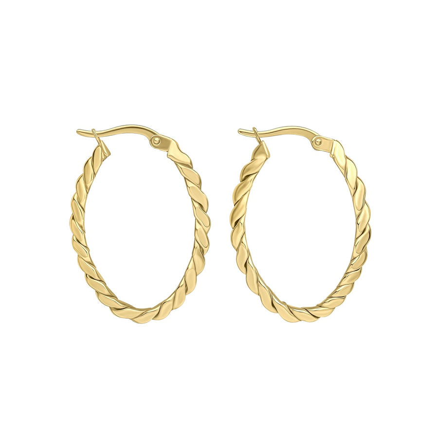 9ct Yellow Gold Earrings GE2504
