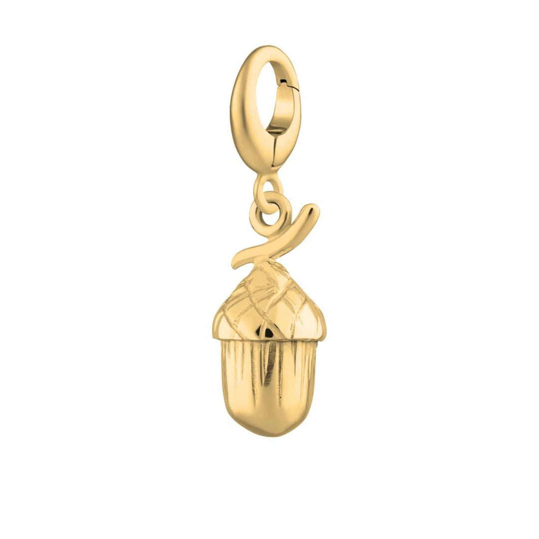 Gold Plated Acorn Charm CGAC