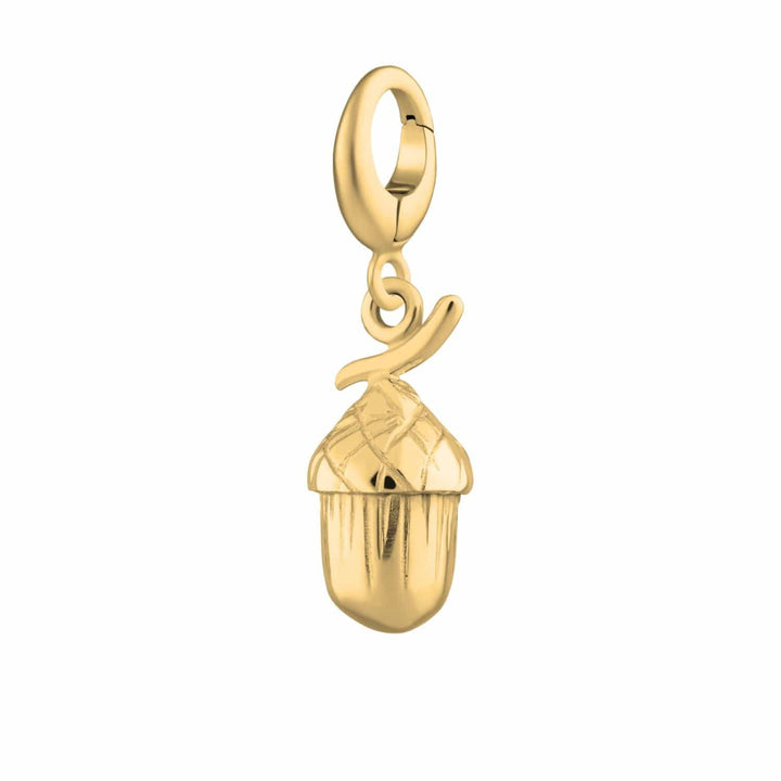 Gold Plated Acorn Charm CGAC