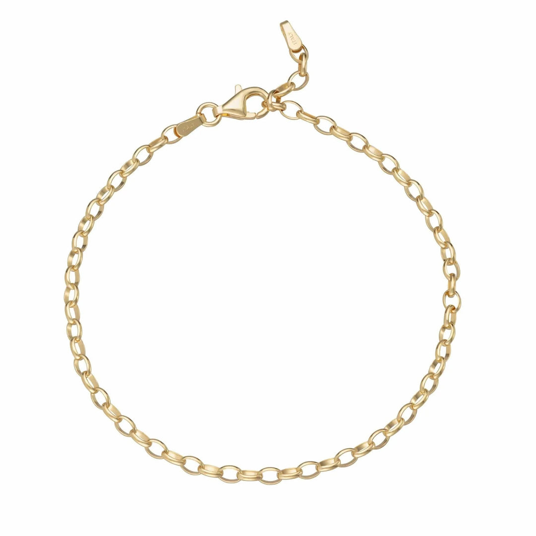 Gold Plated Charm Bracelet CBRG