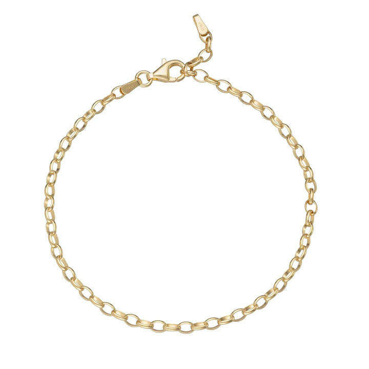 Gold Plated Charm Bracelet CBRG