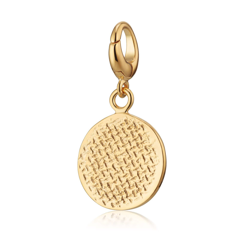 Gold Plated Digestive Biscuit Charm CGDG