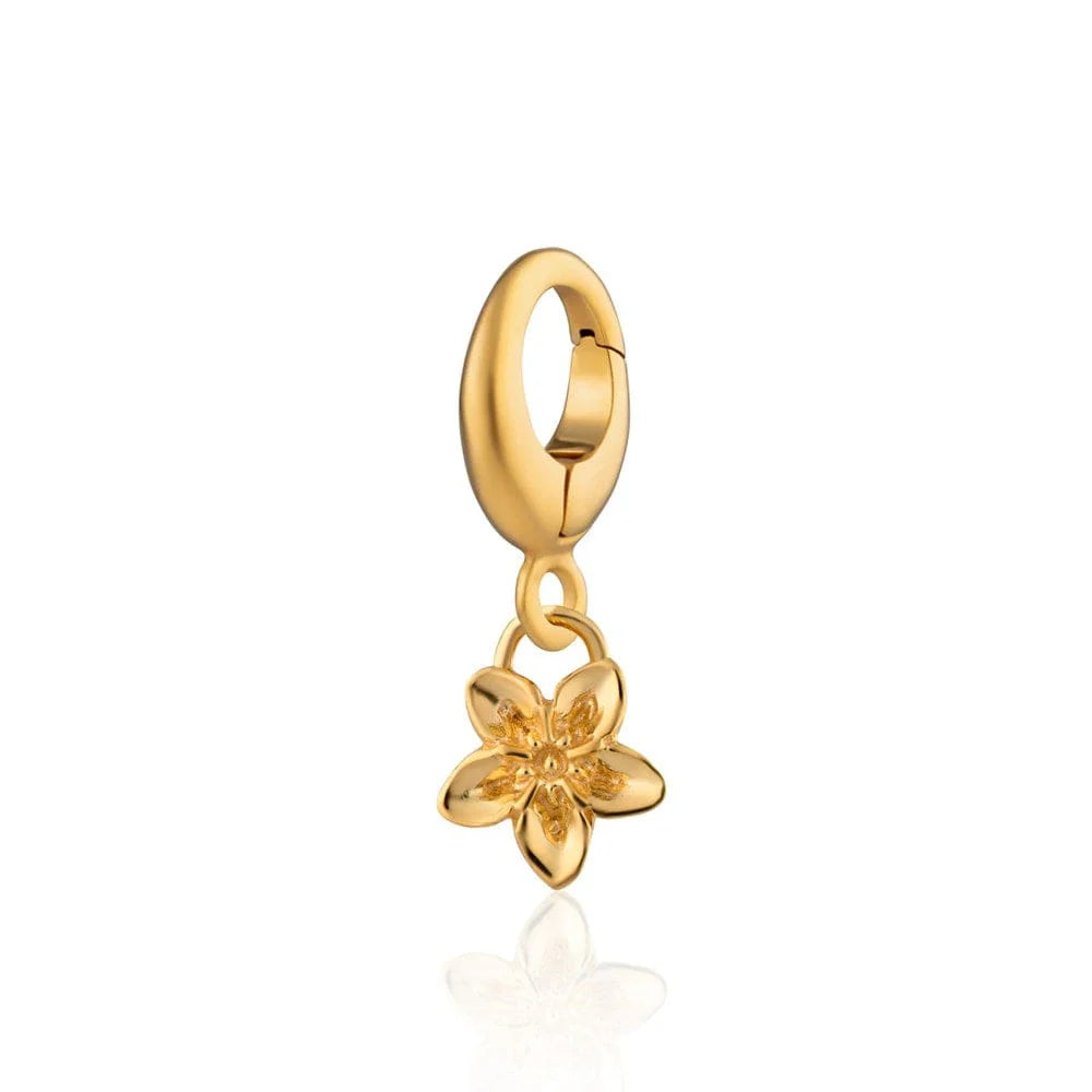Gold Plated Forget Me Not Flower Charm CGFMN