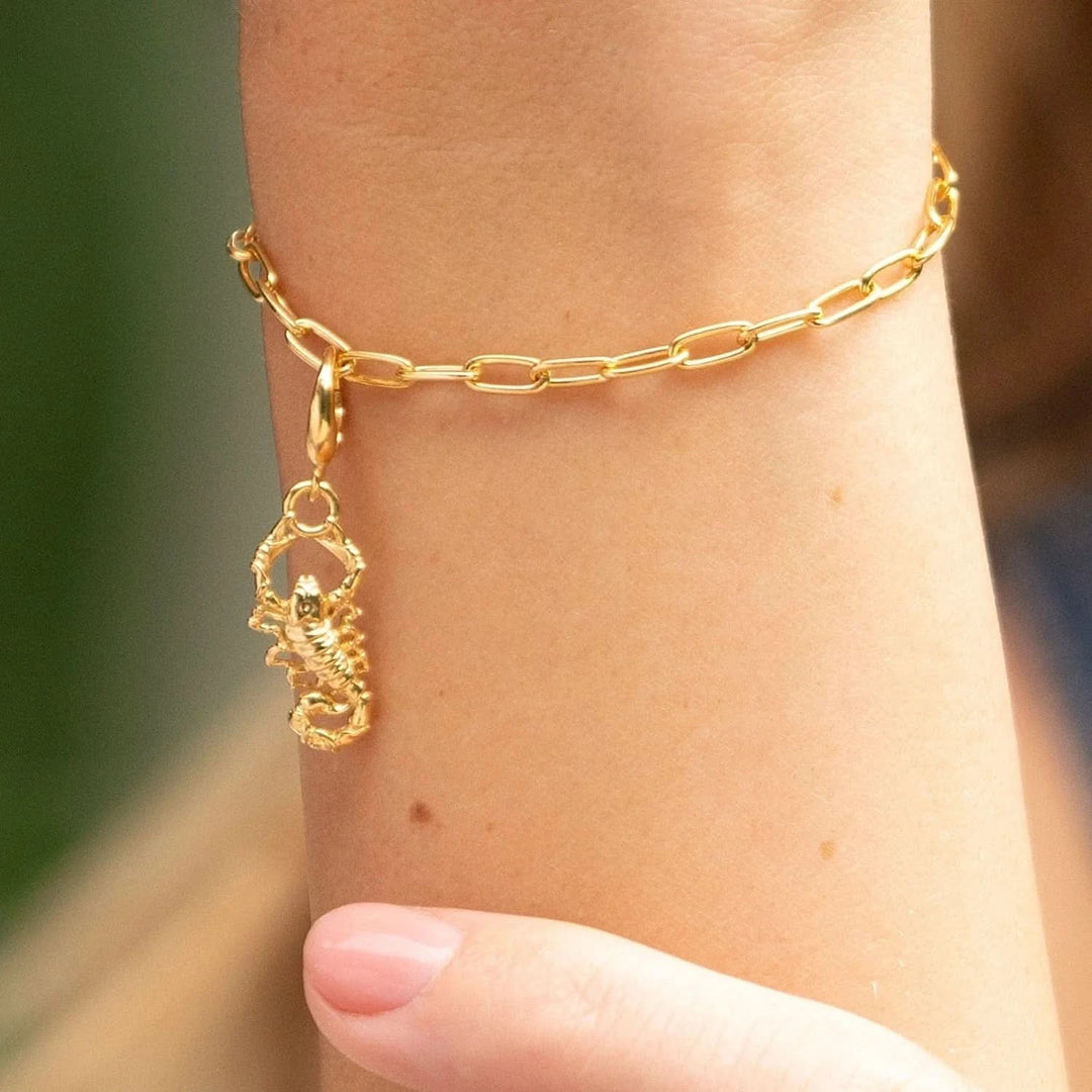 Gold Plated Scorpion Charm CGPION