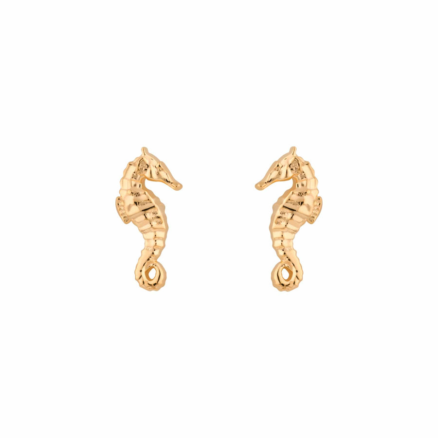 Gold Plated Seahorse Stud Earrings SEGSEA