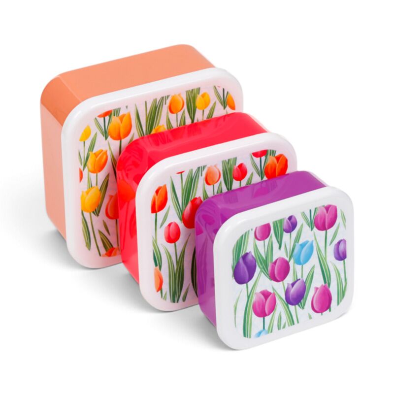 Set of 3 Lunch Box M/L/XL Tulips LBOX144
