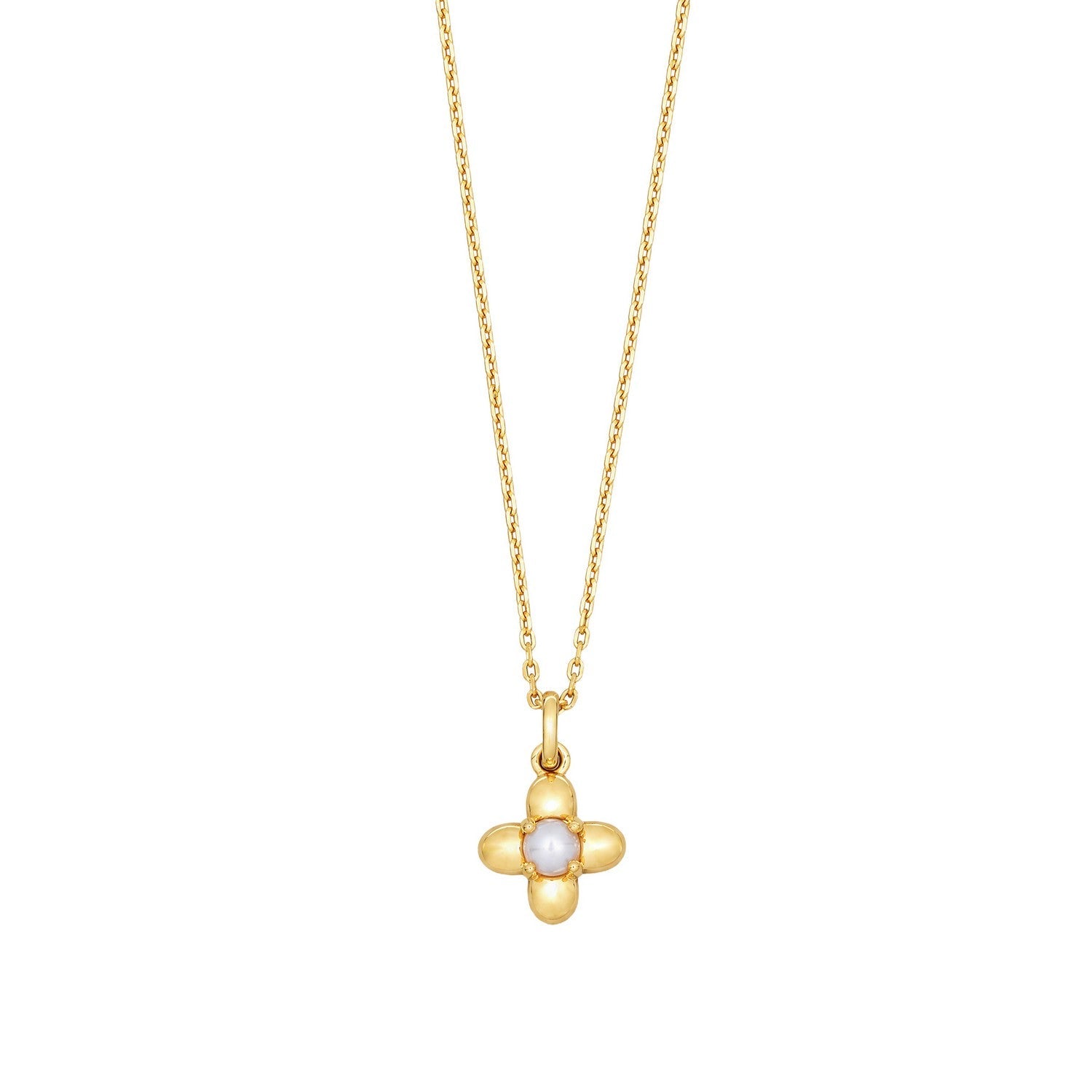 Laura Ashley Pembroke Trellis Vintage Flower Necklace N4790