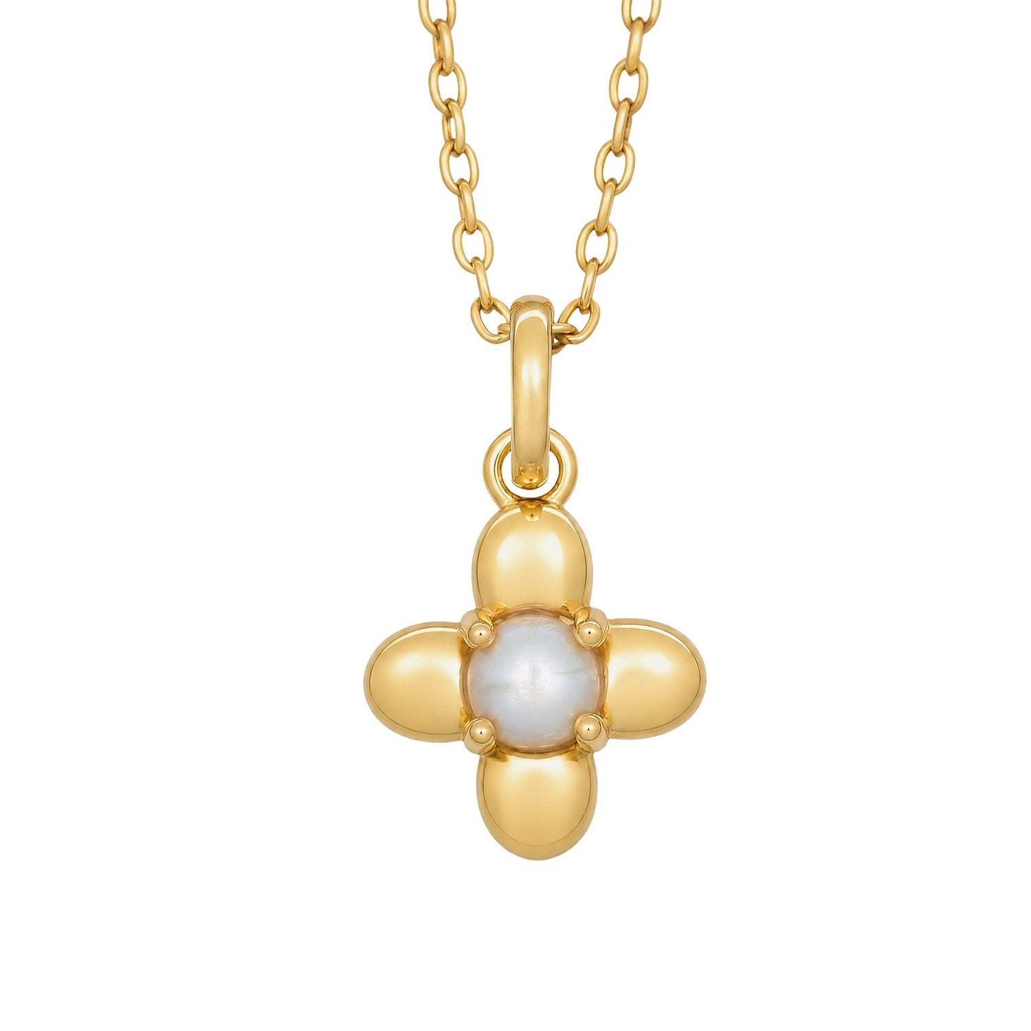 Laura Ashley Pembroke Trellis Vintage Flower Necklace N4790