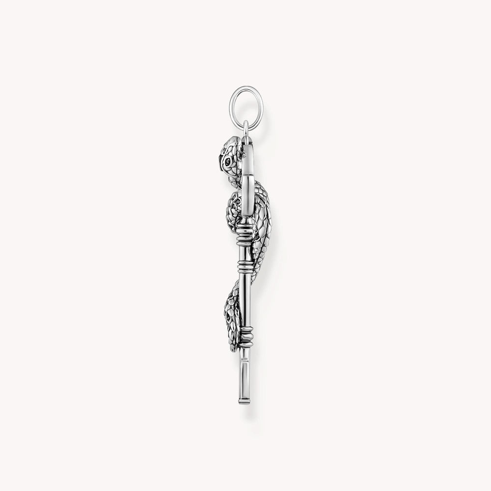 Sterling Silver Black Stones Snake Pendant PE983-691-11