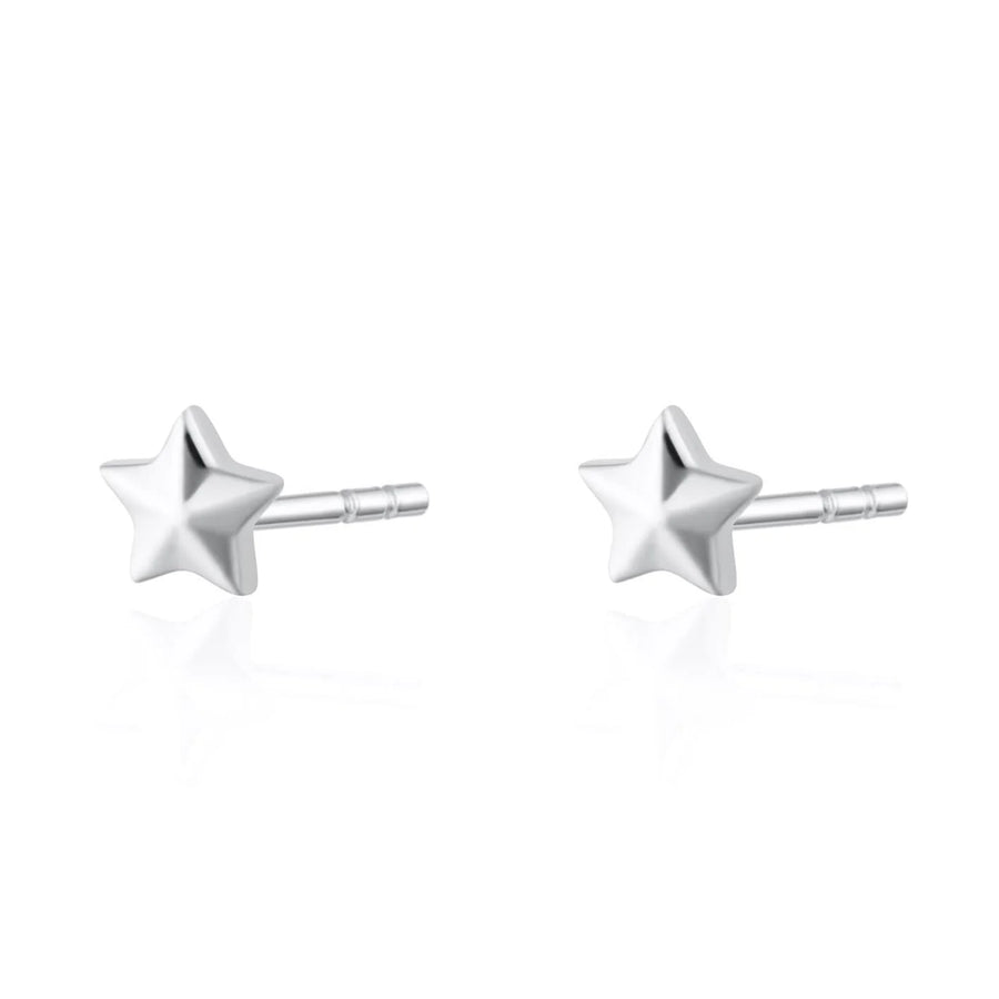 Silver Faceted Star Stud Earrings SESFSS