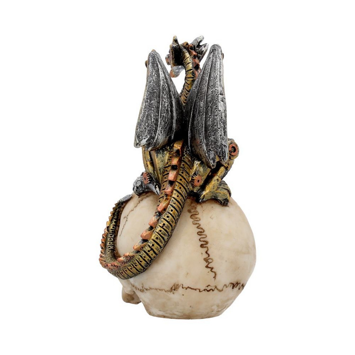 Dragon's Grasp Steampunk Skull and Dragon 18.5cm U3748K8